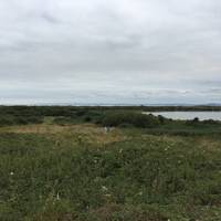 Kenfig National Nature Reserve