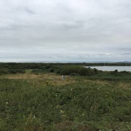 Kenfig National Nature Reserve