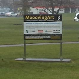 Moooving Art Shepparton