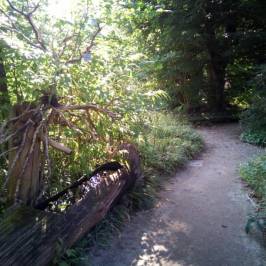 Botanischer Garten