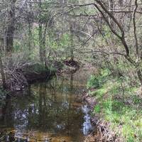 Ashburn Park