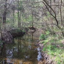 Ashburn Park