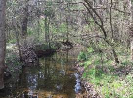 Ashburn Park