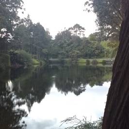 McLaren Falls Park