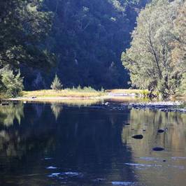 Oxley Wild RIvers Nationalpark