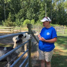 Jersey Shore Alpacas