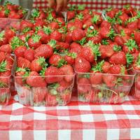 Williamsburg Farmers Market