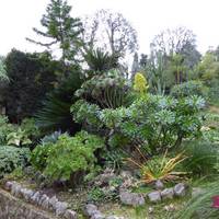Jardin Botanique et Exotique Val Rahmeh