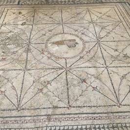 Risan Mosaic