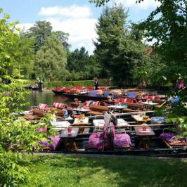 Kahnfahrten im Spreewald
