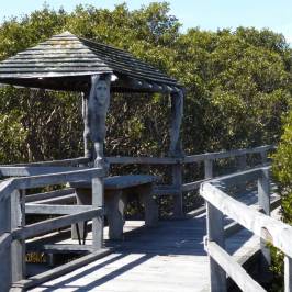 Mangrove Boardwalk