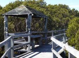 Mangrove Boardwalk