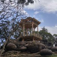 Parque Municipal Quinta Da Boa Vista