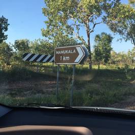 Mamukala Billabong