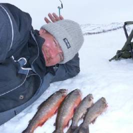 Palosaari Reindeer and Fishing Farm