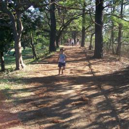 Parque do Sabia