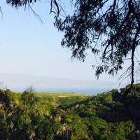 Mahana Ridge Trail