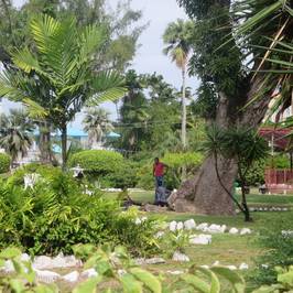 Promenade Gardens