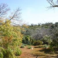 Giardino Botanico Lama degli Ulivi