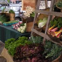 Mount Desert Island Farmers Markets