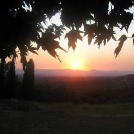 Romanyà de la Selva