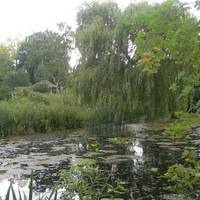 Gooderstone Water Gardens & Nature Trails