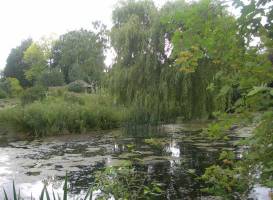 Gooderstone Water Gardens & Nature Trails