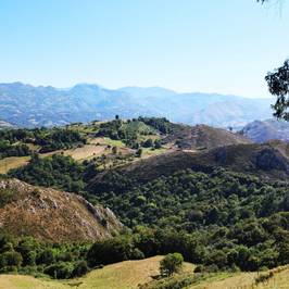 Mirador del Fito