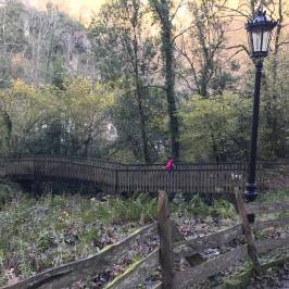 Santuario de la Virgen de Covadonga