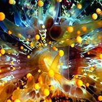 Creative Light Gallery