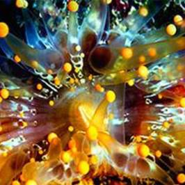 Creative Light Gallery