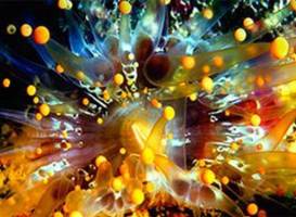 Creative Light Gallery
