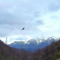 Territorio Canopy