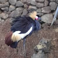 Maroparque isla de La Palma