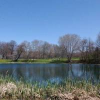 Forest Park