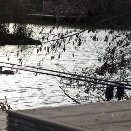 Sumners Ponds