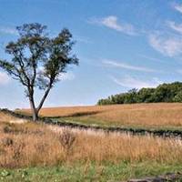 Brandywine Creek State Park