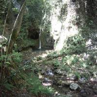 Parco Levigliese