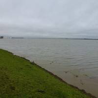 Nene Washes