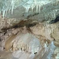 Bear Cave