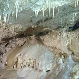 Bear Cave