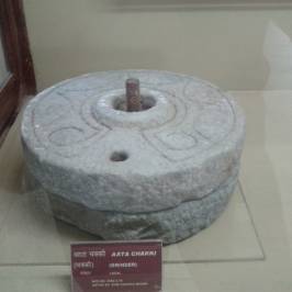 Anthropological Museum