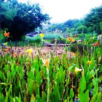 Shimen Forest Park