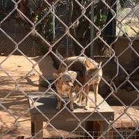Southwest Wildlife Conservation Center