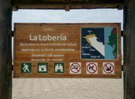 La Lobería