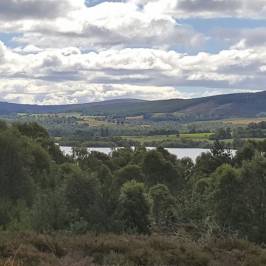 Muir of Dinnet National Nature Reserve