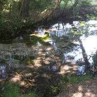 Parco dello Storga