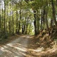Il Montello