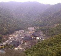 The Green Garden Shopping Center