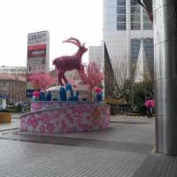 Ciro's Plaza